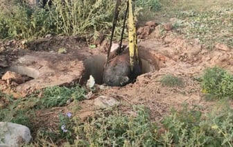 Корова упала в колодец — вот как ее доставали