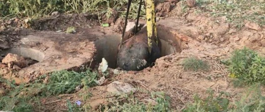 Корова упала в колодец — вот как ее доставали