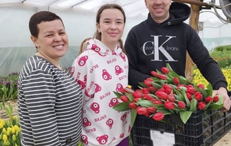 Семья из Дрогичина поделилась секретами выращивания тюльпанов