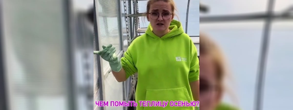 “Велосипед изобретать не нужно” — Садовод рассказала, чем легко отмыть теплицу осенью от плесени и водорослей — Полезно