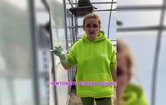 “Велосипед изобретать не нужно” — Садовод рассказала, чем легко отмыть теплицу осенью от плесени и водорослей — Полезно