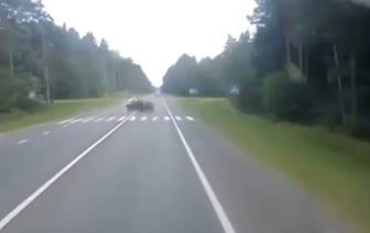 Авария с двумя погибшими под Могилевом попала на видео