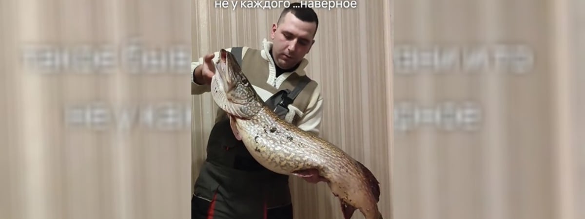 «Такое бывает раз в жизни» — Белорус похвастался уловом «мамки» больше 10 кг. Мнения в TikTok разделились — Видео