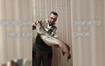 «Такое бывает раз в жизни» — Белорус похвастался уловом «мамки» больше 10 кг. Мнения в TikTok разделились — Видео
