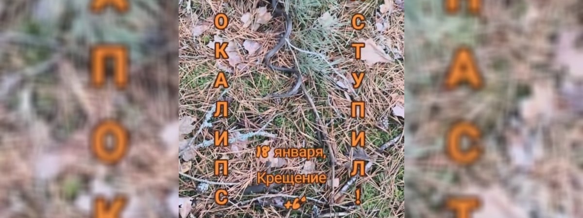 «Страх берёт» — В TikTok показали «апокалипсис» в белорусских лесах — Видео