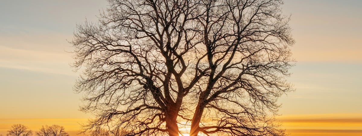 Эстония планирует многолетнюю закупку различных ударных дронов на €400 млн