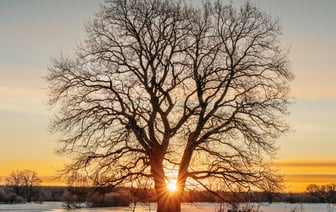 Эстония планирует многолетнюю закупку различных ударных дронов на €400 млн