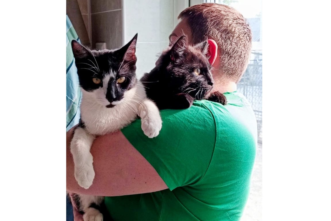 «Это была любовь с первого взгляда». О питомцах из приюта рассказали жители Барановичей