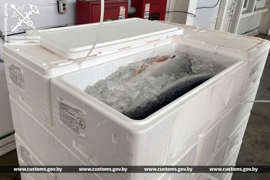 Почти 14 тонн лосося пытались незаконно вывезти из Беларуси