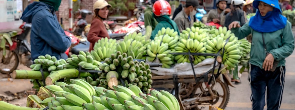 В Беларуси розничный товарооборот в январе 2025 года вырос на 12,2%