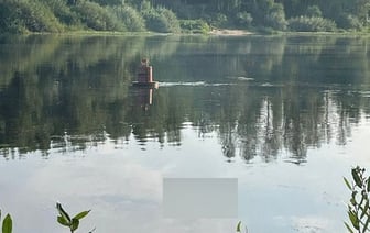 Скрылся под водой в 10 метрах от берега: в Витебске утонул мужчина