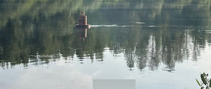 Скрылся под водой в 10 метрах от берега: в Витебске утонул мужчина