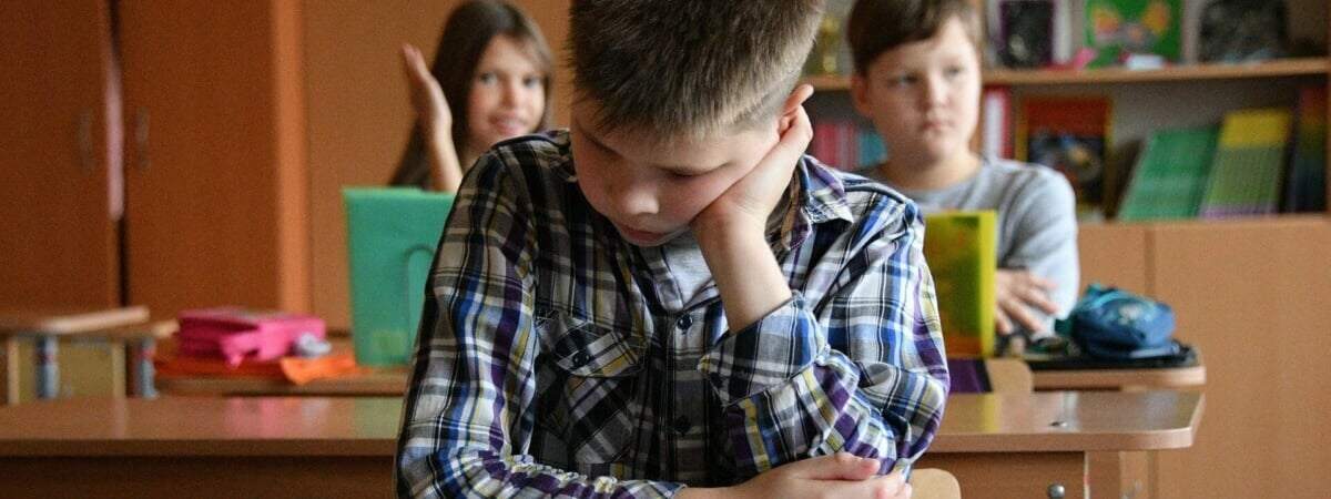 В Минобразовании утвердили новые школьные факультативы. Какие?