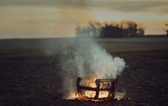 Под Витебском едва не сгорело хлебное поле площадью почти 120 га