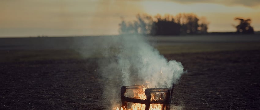 Под Витебском едва не сгорело хлебное поле площадью почти 120 га