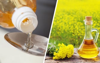 В НИИ гигиены рекомендовали белорусам употреблять 20 грамм рапсового масла в день. Это зачем? — Полезно