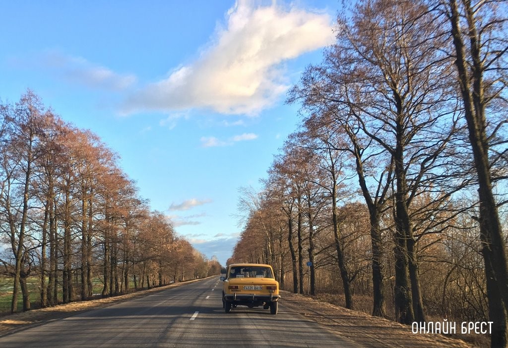 Фото носит иллюстративный характер