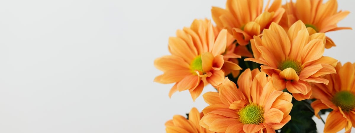 Иначе потеряют цвет и обрастут грибком. В банке рассказали, где и при какой температуре белорусам хранить дома валюту — Полезно