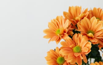 Иначе потеряют цвет и обрастут грибком. В банке рассказали, где и при какой температуре белорусам хранить дома валюту — Полезно