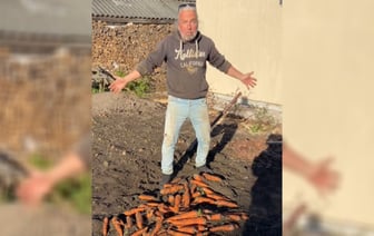 «Морковь с ума сошла» — Белорусский блогер показал, какой урожай вырастил из «контрабандных» польских семян — Видео