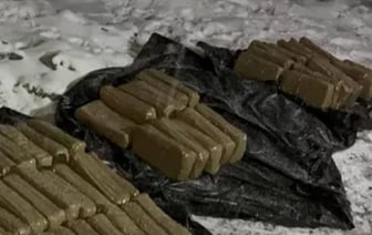 Дальнобойщика из Беларуси задержали в России с контрабандой на $3,8 миллиона