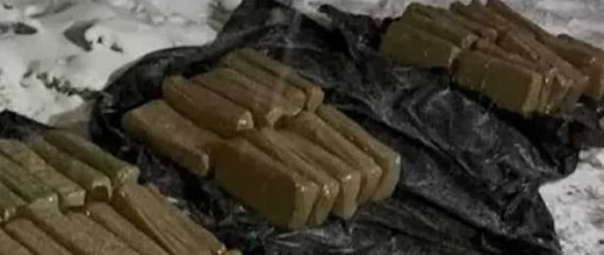 Дальнобойщика из Беларуси задержали в России с контрабандой на $3,8 миллиона