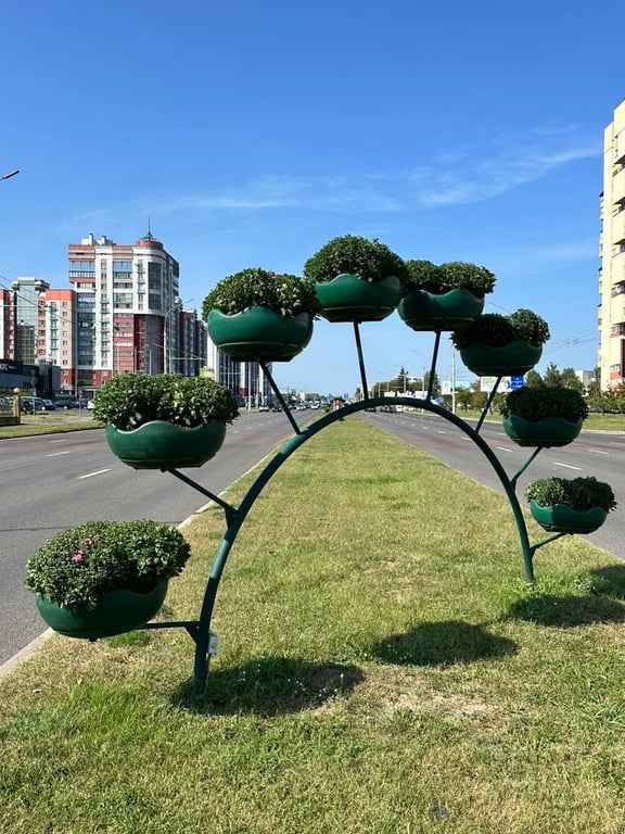 В Бресте специалисты ПКУП «Коммунальник» начали высадку осенних цветов