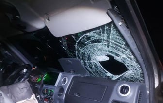 В Гомеле увеличилось число наездов на пешеходов