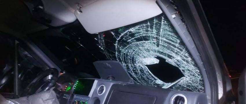 В Гомеле увеличилось число наездов на пешеходов