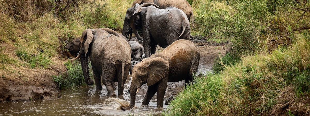 Украинские дроны атаковали нефтебазу в Волгоградской области России — Видео