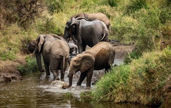 Украинские дроны атаковали нефтебазу в Волгоградской области России — Видео