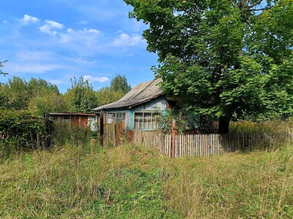 Хотите дачу за 42 рубля под Могилевом? Показываем «не убитые» варианты