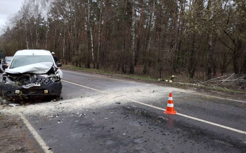 Упавшее на дорогу дерево стало причиной ДТП. Случай в Брестской области