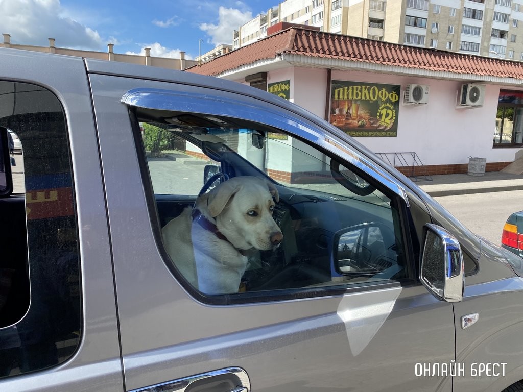Фото носит иллюстративный характер