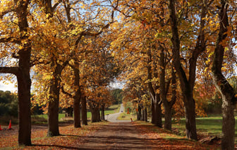 Что принесут циклоны с Балтики? Синоптики рассказали о погоде в Полоцке и Новополоцке