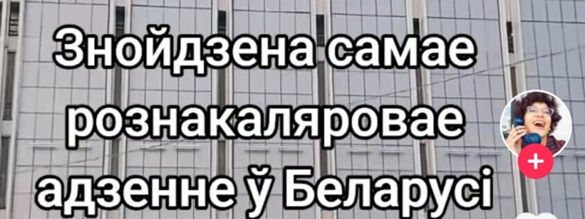 «Рождаемость точно не повысить» — Белоруска показала, что продают в одном из ТЦ Минска. Подписчицы вынесли «модный» приговор — Видео