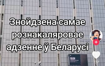 «Рождаемость точно не повысить» — Белоруска показала, что продают в одном из ТЦ Минска. Подписчицы вынесли «модный» приговор — Видео