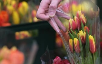 Как законно продавать цветы в Беларуси?
