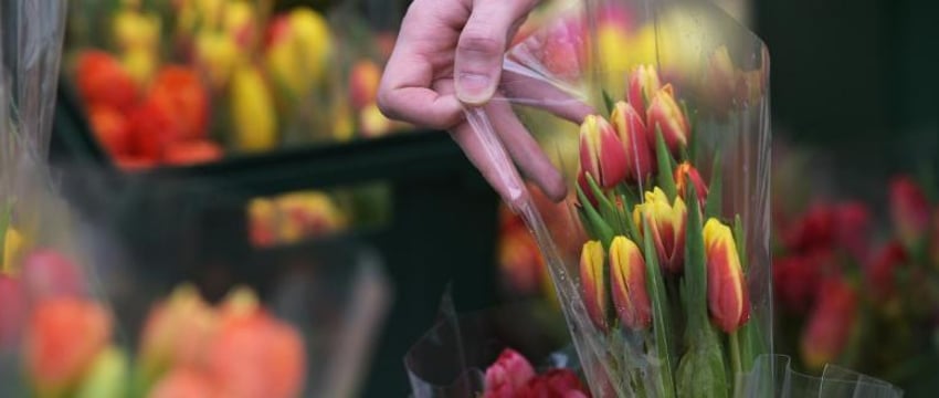 Как законно продавать цветы в Беларуси?