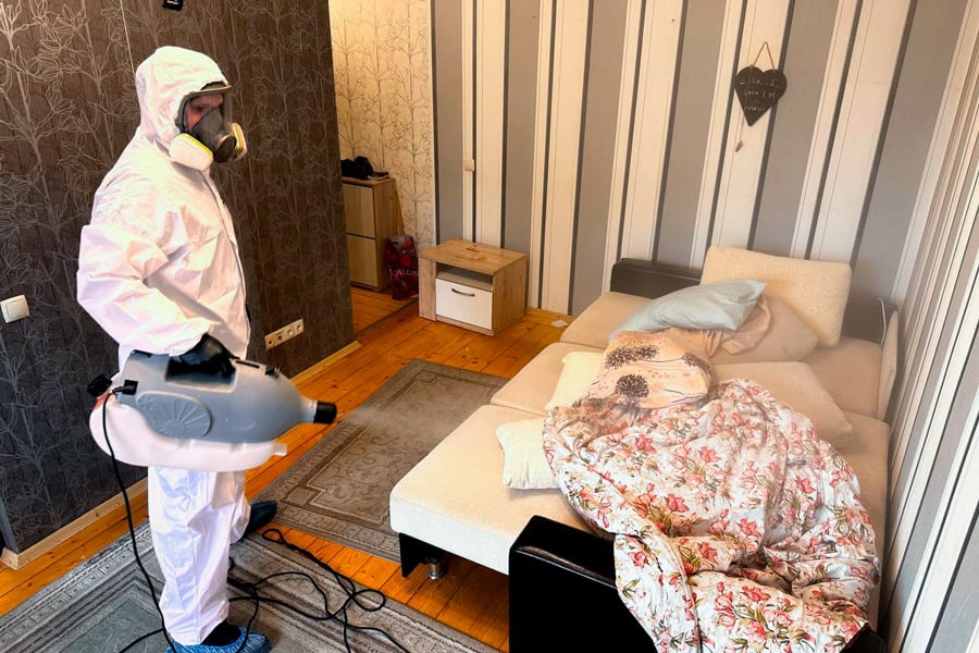 Охотники за тараканами: белорус рассказал, как ведет бизнес по дезинсекции