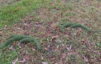 В Барановичах ищут вандалов, напавших на арт-объект