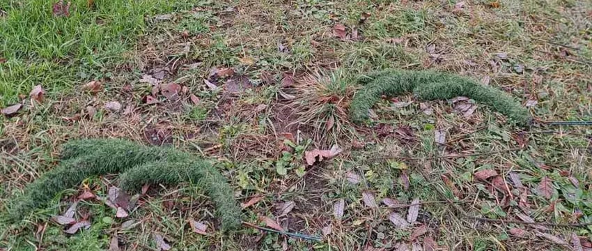 В Барановичах ищут вандалов, напавших на арт-объект