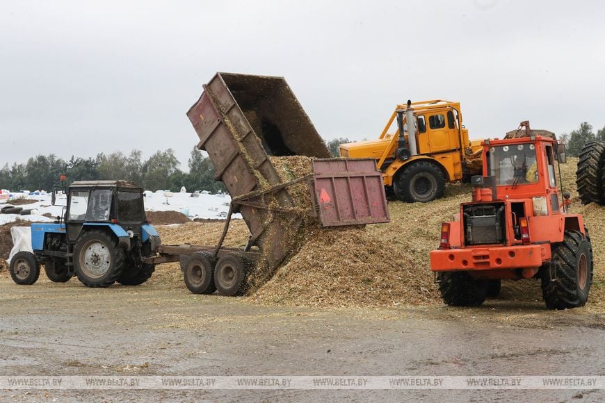 Старожилы Пинского района рассказали о жизни после объединения Беларуси