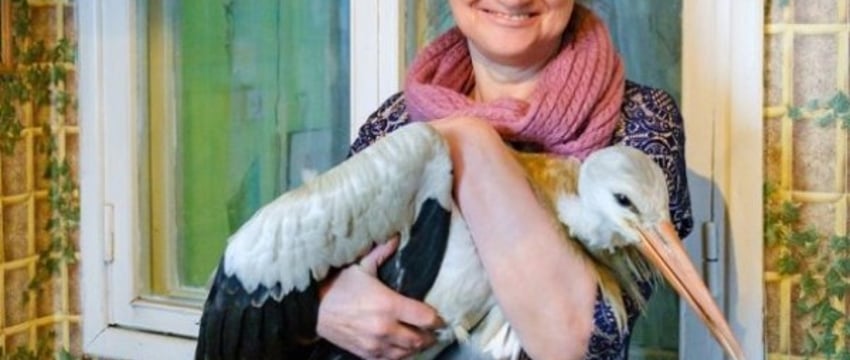 Люди большого сердца: как проходят будни социального работника из Брестской области