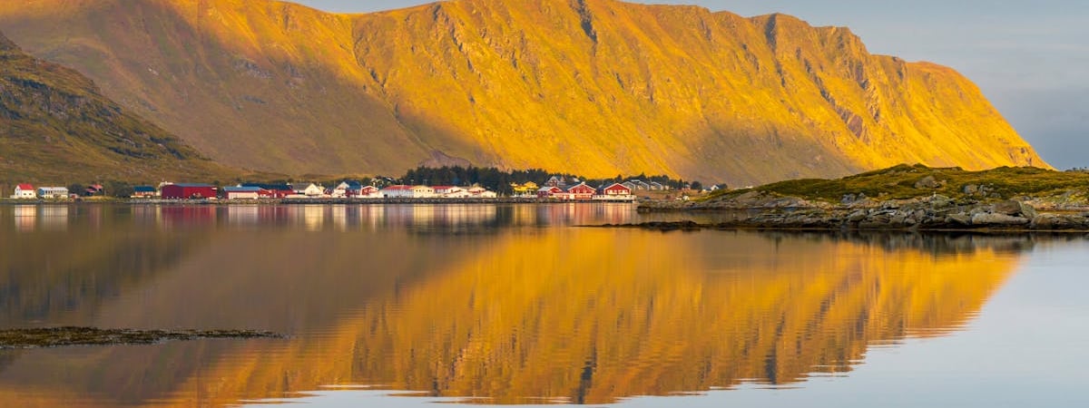 В Норвегии выявили два случая заражения новым штаммом оспы обезьян