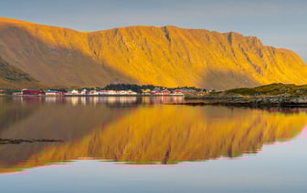 В Норвегии выявили два случая заражения новым штаммом оспы обезьян