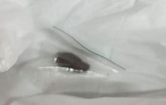 На границе в Бресте служебная собака среагировала на куртку. Что там нашли?