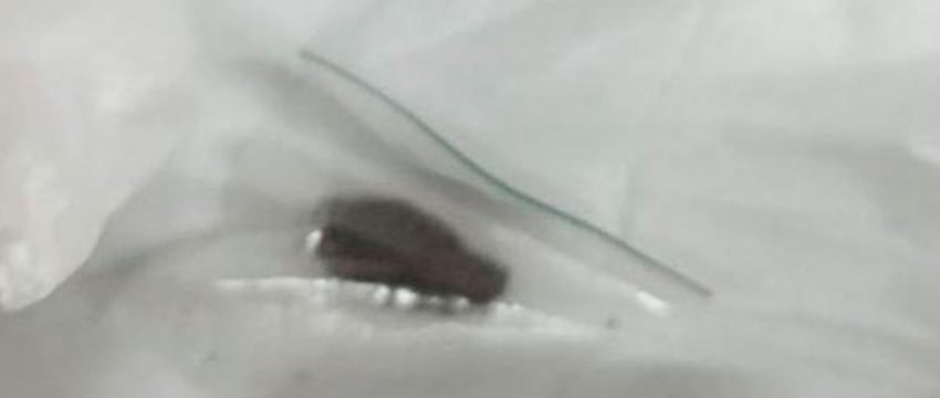 На границе в Бресте служебная собака среагировала на куртку. Что там нашли?