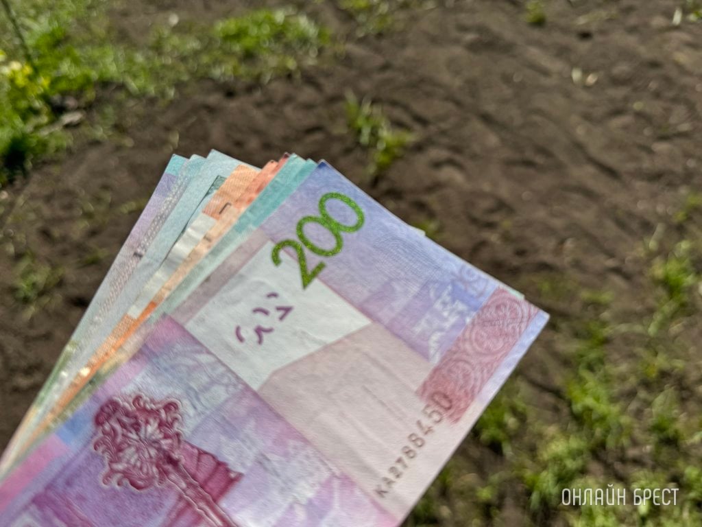 Фото носит иллюстративный характер