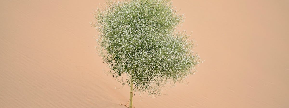 В Беларуси из-за жары продлят сезонные ограничения нагрузок на республиканских автодорогах